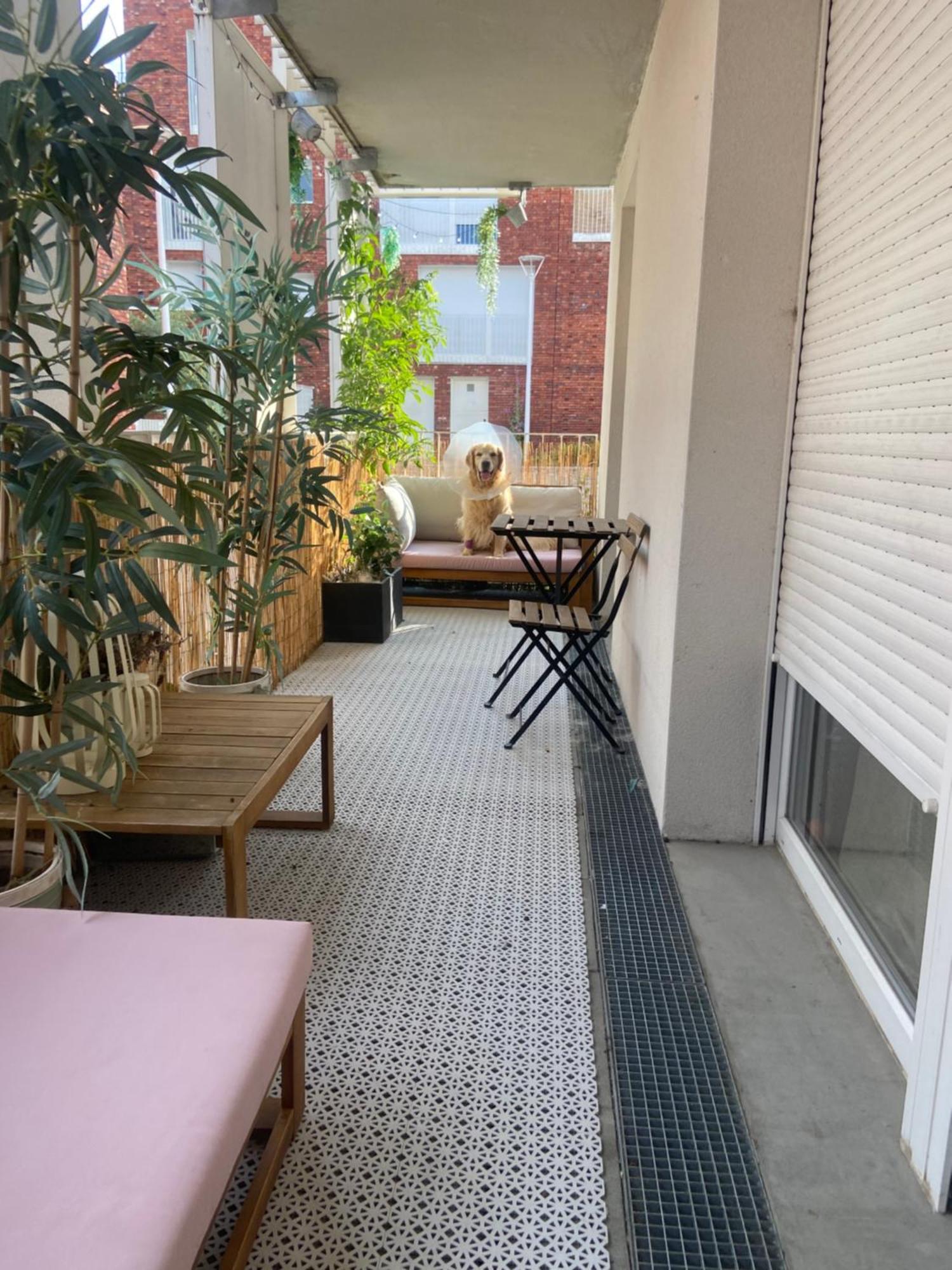Chambre Chaleureuse Et Cosy 里尔 外观 照片